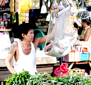 A father makes his child sleep while tending to his stall inside the Iloilo Central Market.