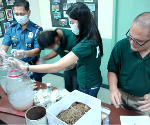 Personnel of the Philippine Drug Enforcement Agency 6 dissolve in water various prohibited drugs confiscated in their previous operations.