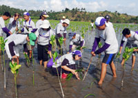 Tree Planting