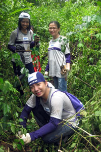 Tree Planting