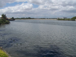 The initiative to preserve and protect the Iloilo River gave Iloilo City