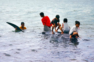 Children in Santo Niño Sur, Arevalo District, Iloilo City play with a dead whale shark washed ashore on Villa beach yesterday.
